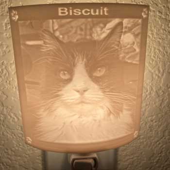 nightlight