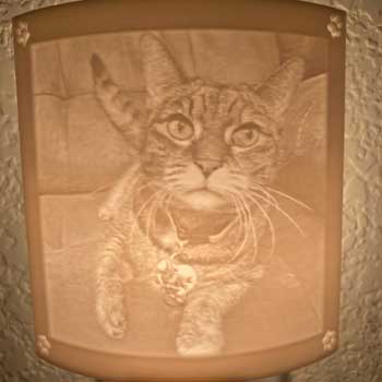 nightlight
