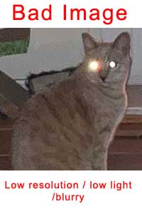 bad